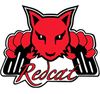RedCat Racing