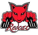 RedCat Racing
