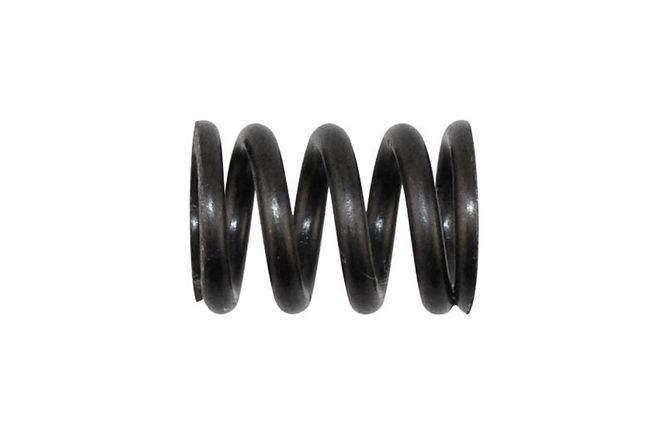 Hovedbilde AX30413 Slipper Spring ...